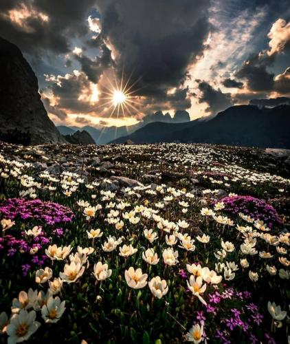 133197799_178458890674316_1001855259221146130_o