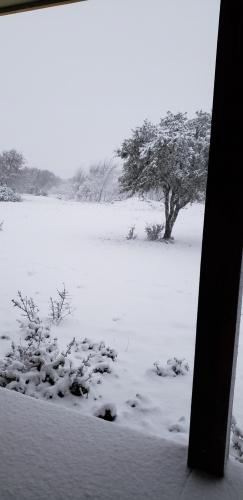 17:52:10 GMT-0600 (CST)