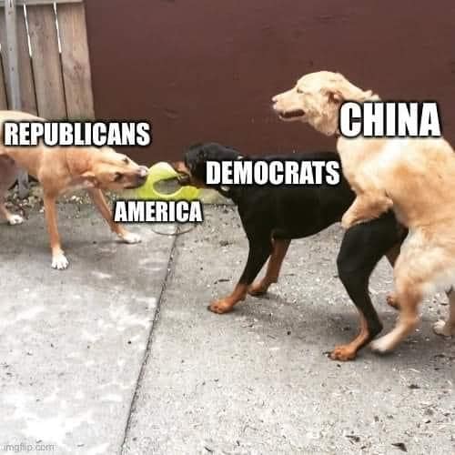 China pooching the dog