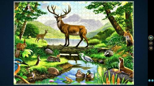 QVZlLUZpd3VMZ1hzVXNraQ