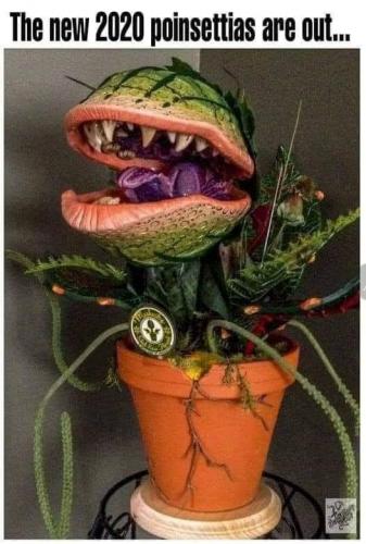 129408279_487787978855268_5966410526328121796_n