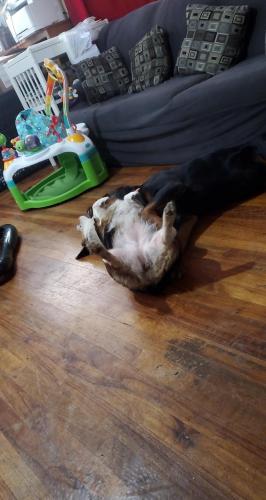 10:37:27 GMT-0800 (PST)