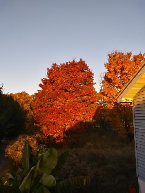 18:27:34 GMT-0500 (EST)