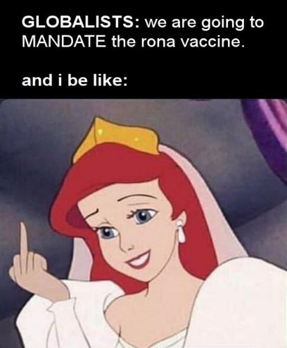 vaccine34