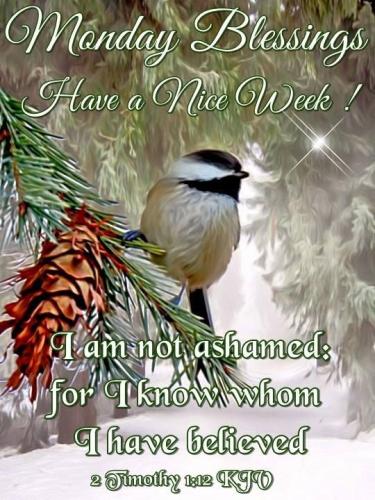 21:45:25 GMT-0600 (CST)