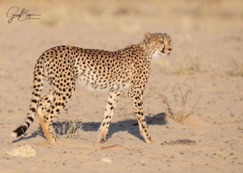 131418056_3497144260361299_4042099956704533639_n