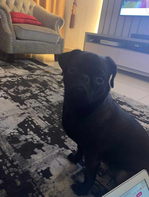 15:12:51 GMT+0100 (WAT).png