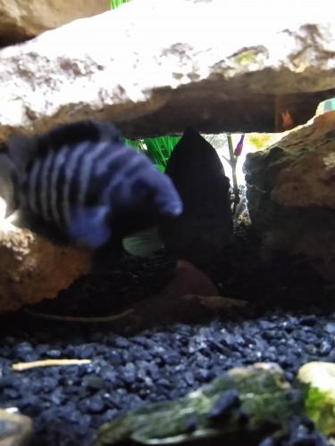 05:27:26 GMT-0600 (CST)