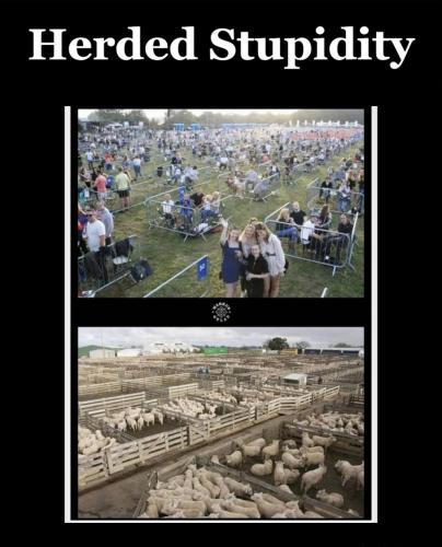 17:46:01 GMT-0600 (CST).image