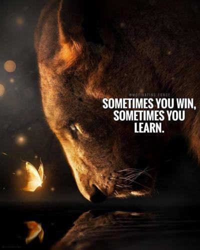 15:29:15 GMT-0600 (CST).image