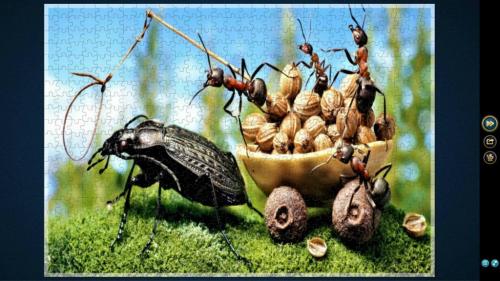 QVZkVjcxUDN1ajQySW1HNg