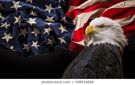 north-american-bald-eagle-flag-260nw-708934666