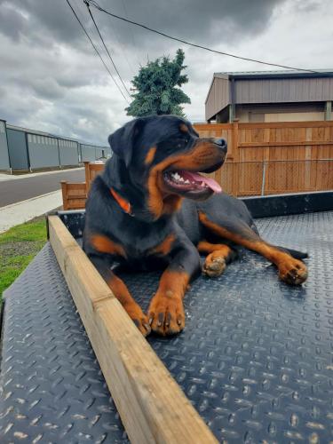 15:23:02 GMT-0800 (PST)