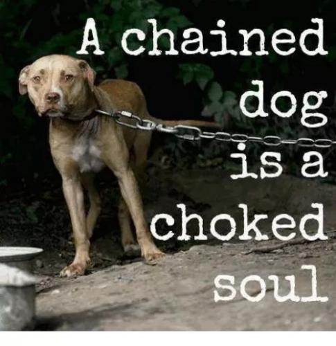 07:58:24 GMT-0600 (CST)