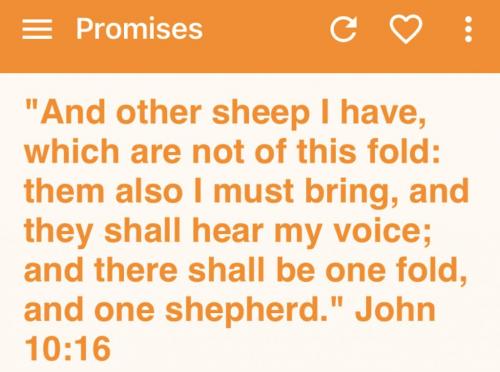 24F5FBBB-B46F-4B76-880E-447A8133584D