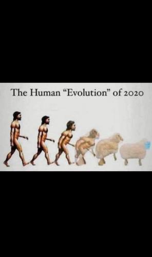 00:33:31 GMT-0600 (CST)