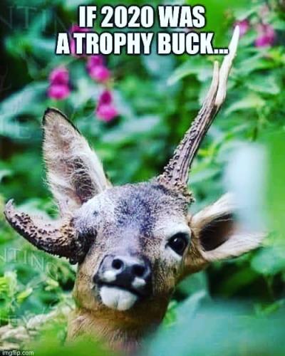 11:44:10 GMT-0500 (EST)