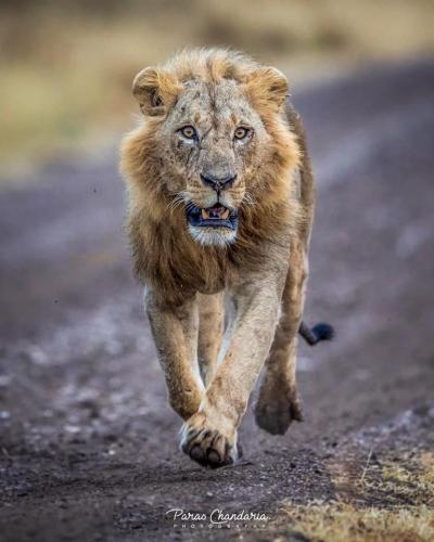 132515435_220636022951525_8462767040741261665_n