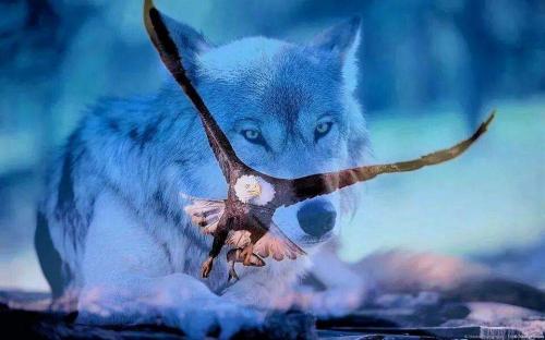 12:23:54 GMT-0600 (CST)