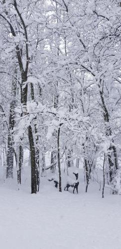 10:20:11 GMT-0700 (MST)