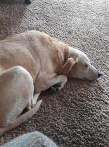 02:59:08 GMT-0600 (CST)