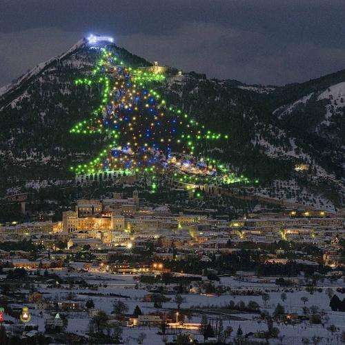 The world's largest Christmas tree is located in Italy.