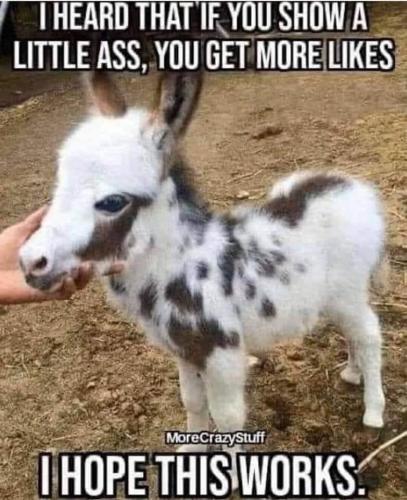 22:18:12 GMT-0700 (MST).image