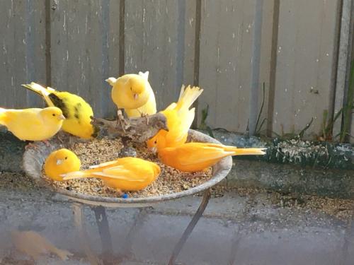 18:40:07 GMT+0100 (WAT)