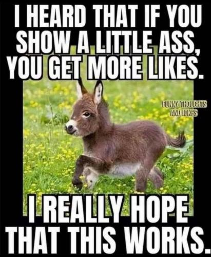 02:19:36 GMT-0500 (EST)