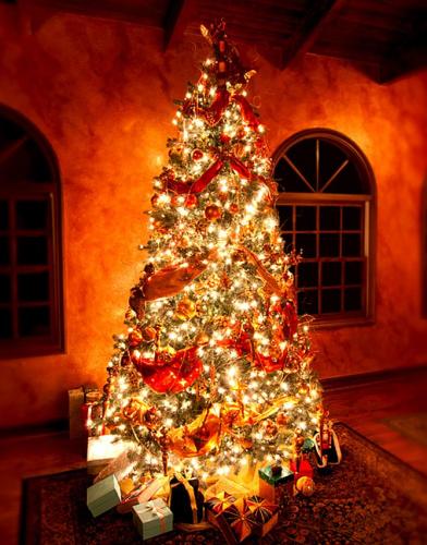 19:30:30 GMT-0600 (CST).image