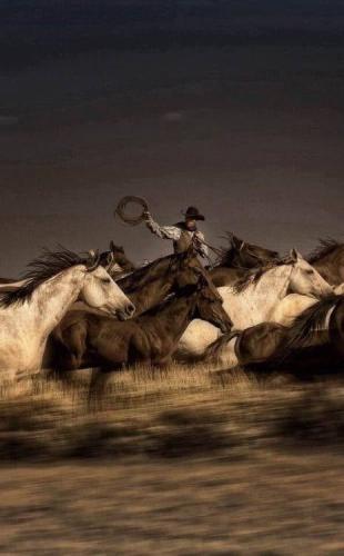 131509409_10218564043316917_3225280779642174116_n