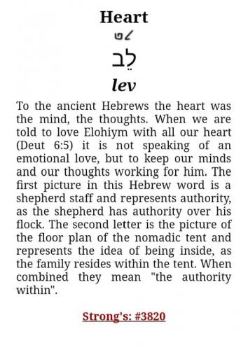 123140405_1731988910294943_786809814688590066_o