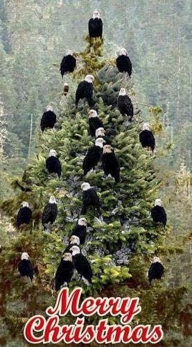 8185BF24-C449-4ABE-B13C-B87242C86AE7