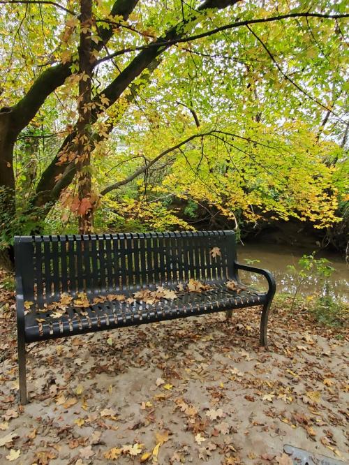 12:16:34 GMT-0600 (CST)