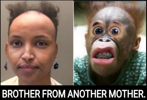 16:13:38 GMT-0600 (CST)