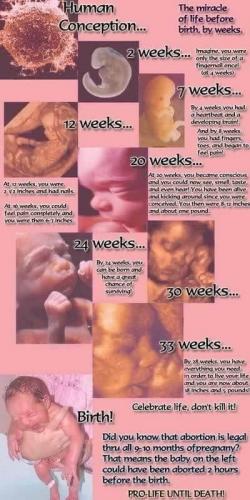 D5A5FDFB-710C-431F-9B6D-C749E86B8B9A