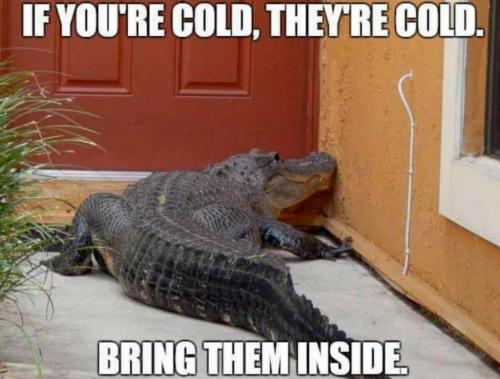 04:43:57 GMT-0500 (EST)