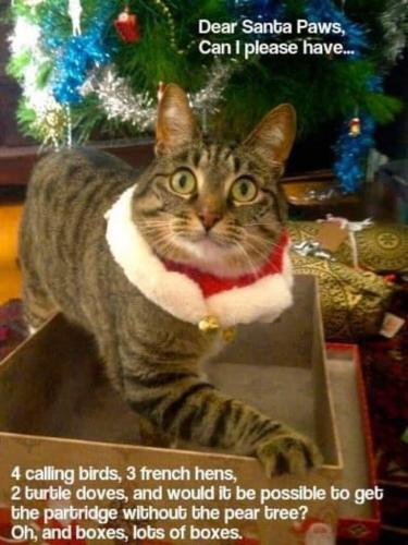 01:14:26 GMT+0000 (GMT).image