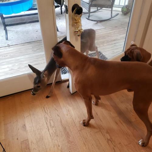 00:28:05 GMT-0600 (CST)