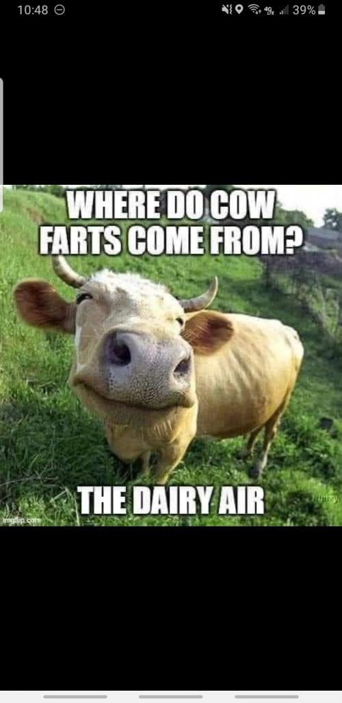 19:57:17 GMT-0600 (CST)