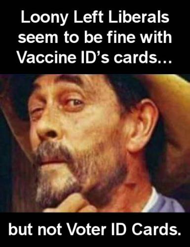 vaccine55