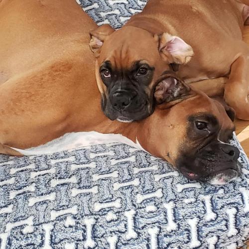 01:03:49 GMT-0600 (CST)