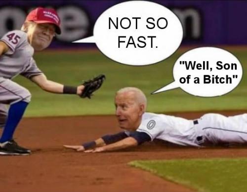 biden241