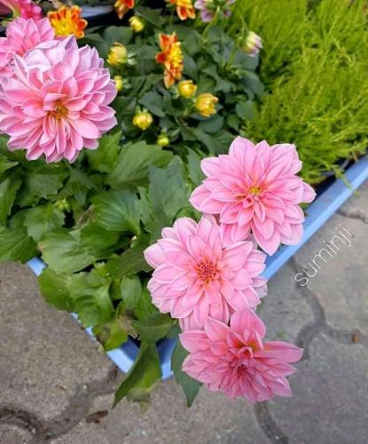 22:28:20 GMT+0100 (WAT)