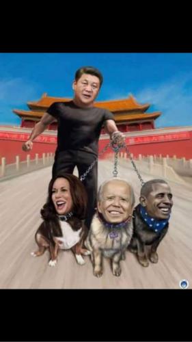 16:31:03 GMT-0600 (CST)