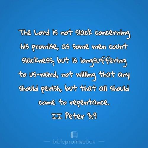 9513D9A4-7618-42F2-AD79-E576D0317ACA