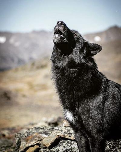 131924100_222522332775134_5778016088326717671_o