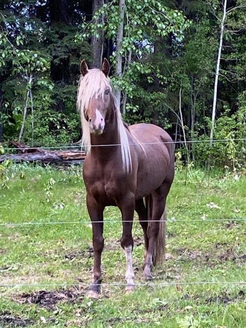 22:32:32 GMT-0700 (MST).image