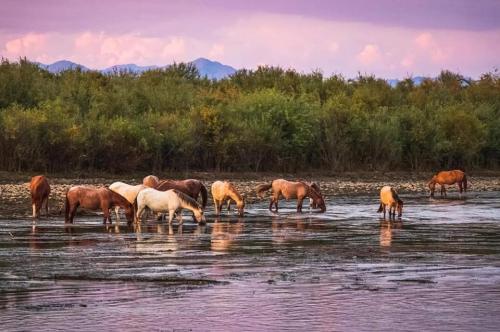 130768343_10215545136936263_9142290425386208875_n