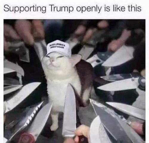 12:48:11 GMT-0800 (PST).image